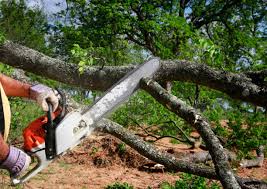 Mulching Services in Salt Lake City, UT